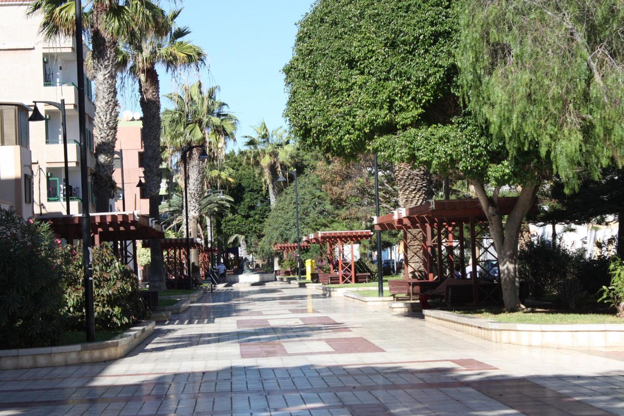 아로나 Primavera Tenerife Sur 아파트 외부 사진