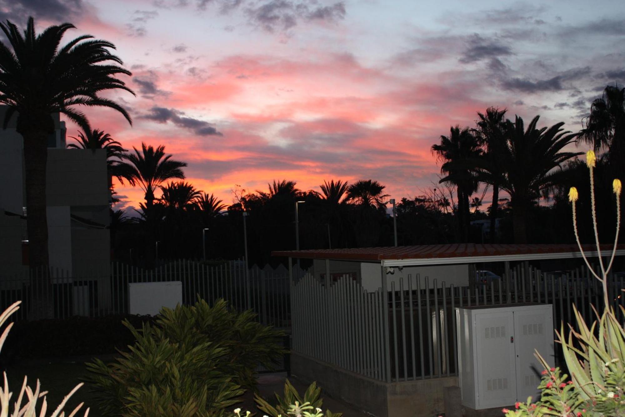 아로나 Primavera Tenerife Sur 아파트 외부 사진